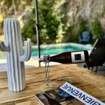 Apéro au bord de la piscine